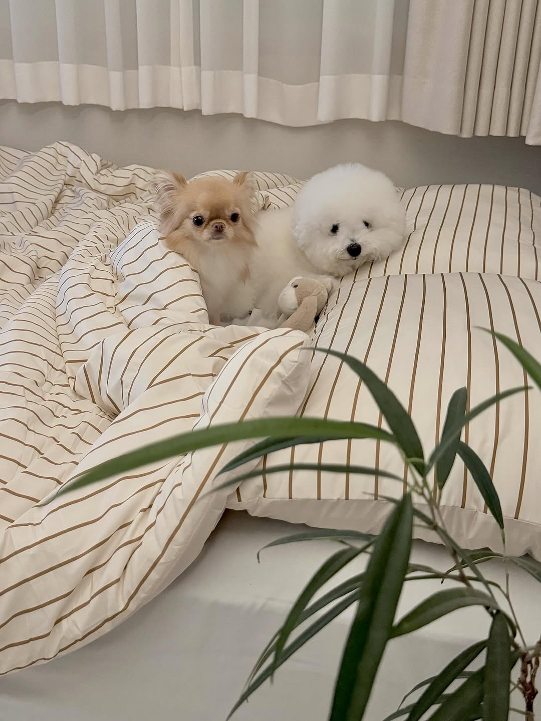 @mochalatte.zip이 올린 깃든 Gitden 태그 게시물