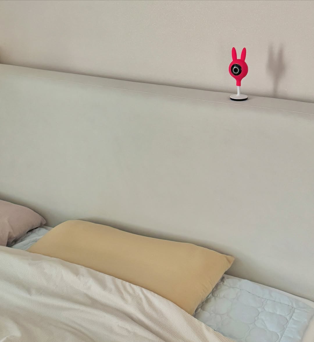 @moo.ming2이 올린 알레르망 태그 게시물
