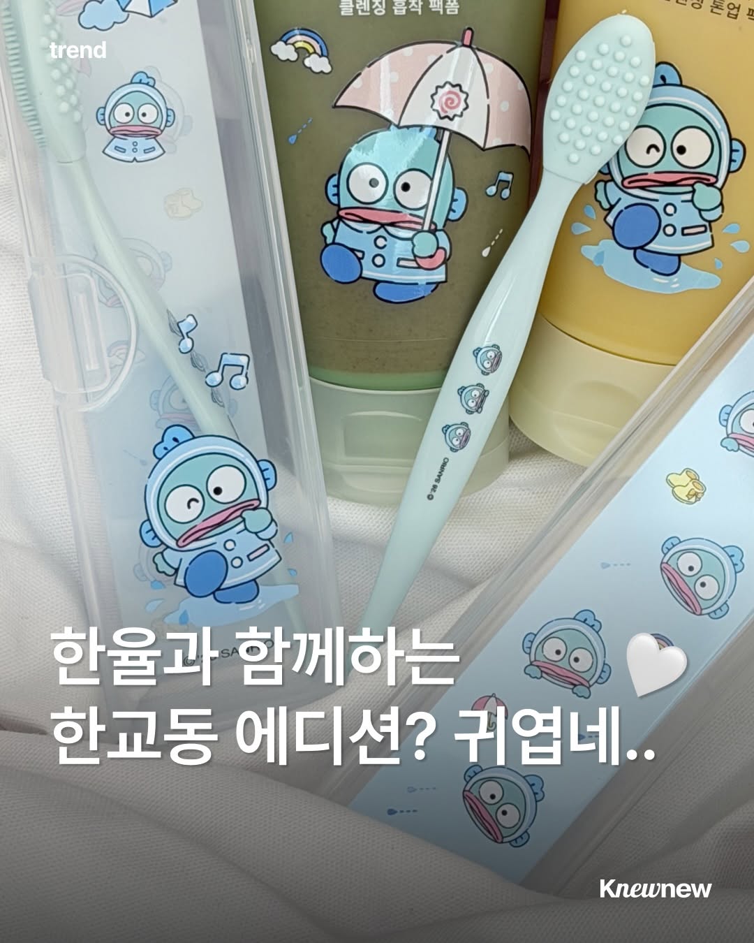 @knewnew.official이 올린 뉴뉴트렌드 태그 게시물