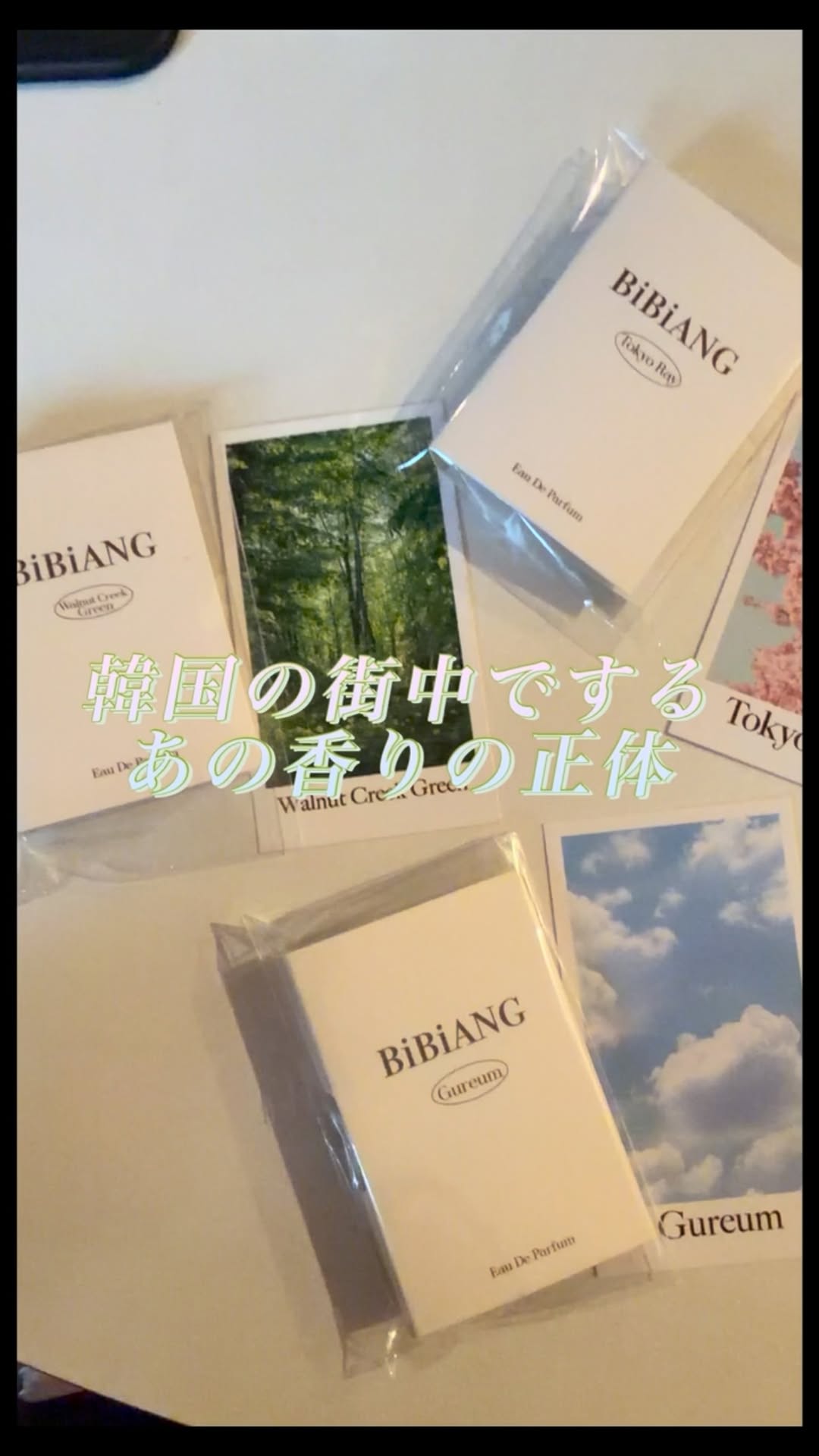@mmlog.kr26이 올린 비비앙 태그 게시물