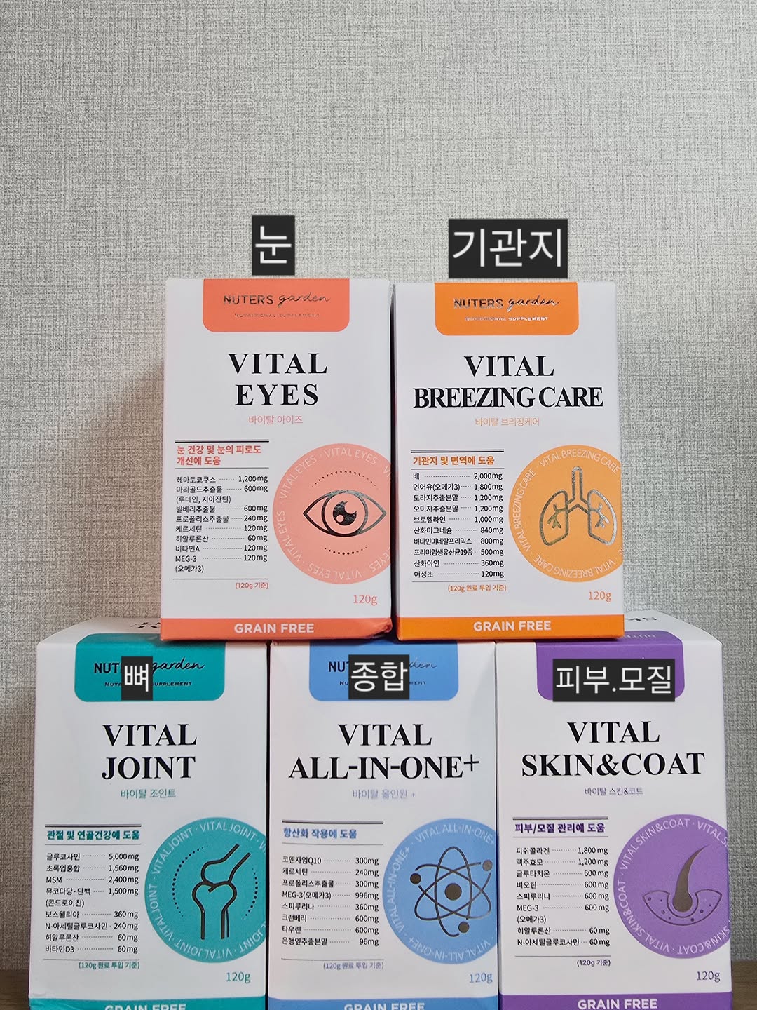 @dasom_maltese이 올린 누터스가든 태그 게시물