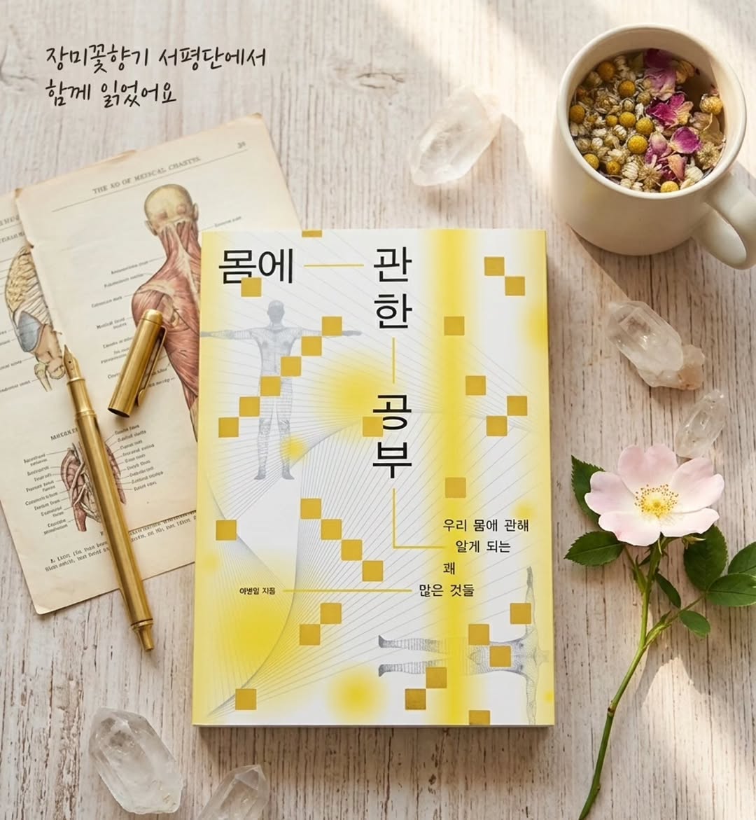 @ssong_mintcafemocha이 올린 장미 태그 게시물