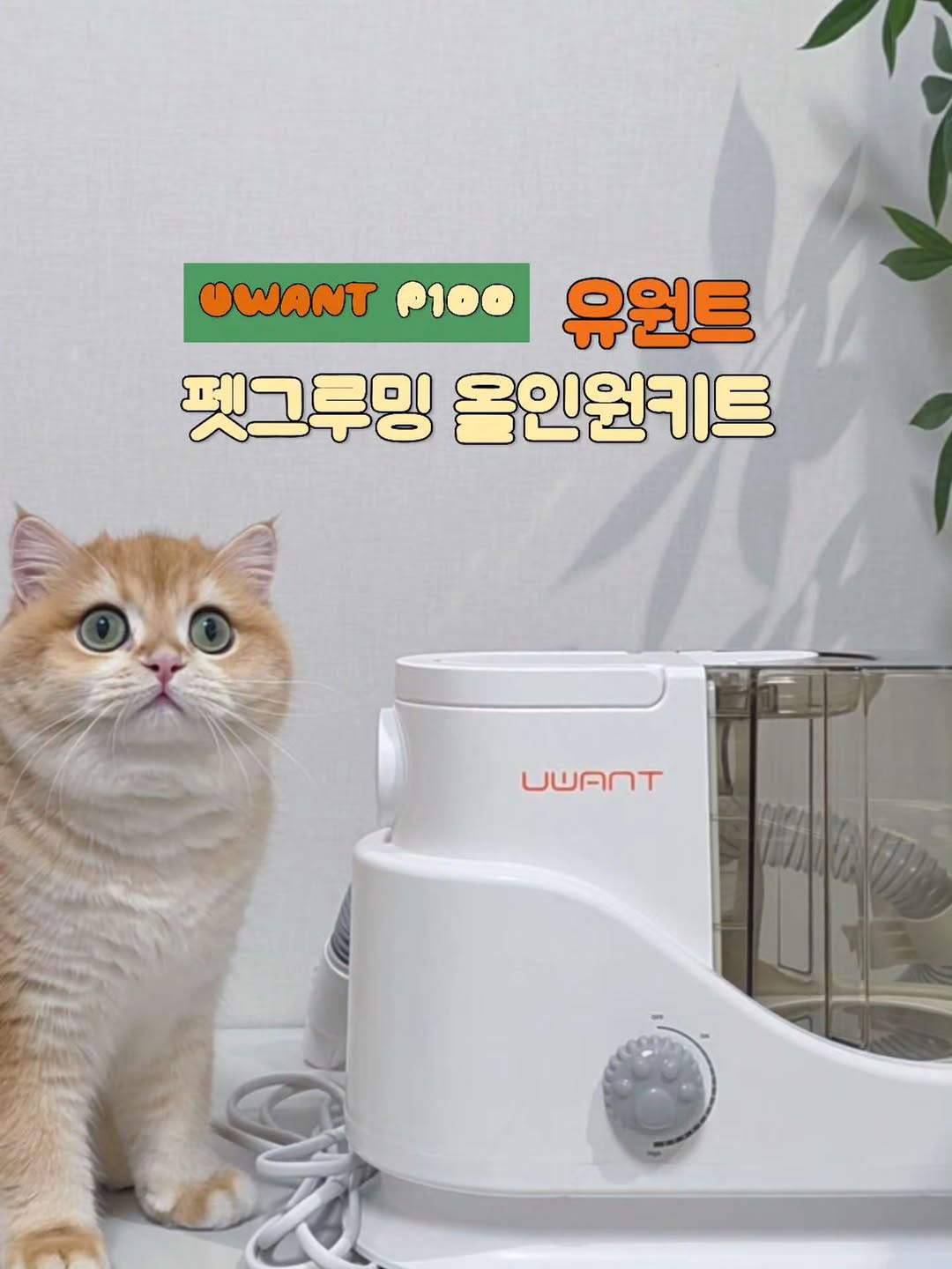 유원트 코리아 광고 소재