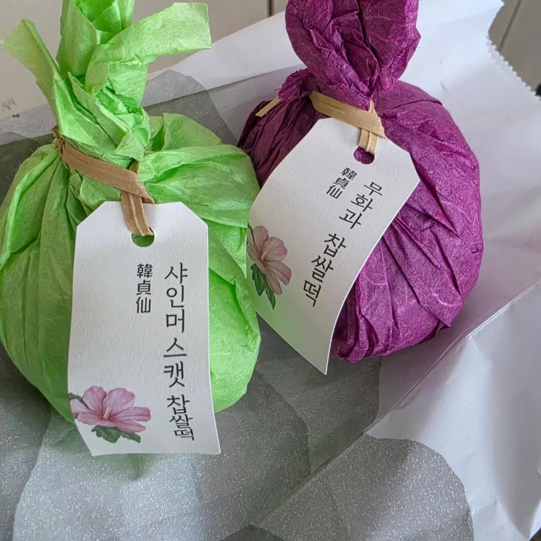 @avilla_koo이 올린 동백온실 태그 게시물