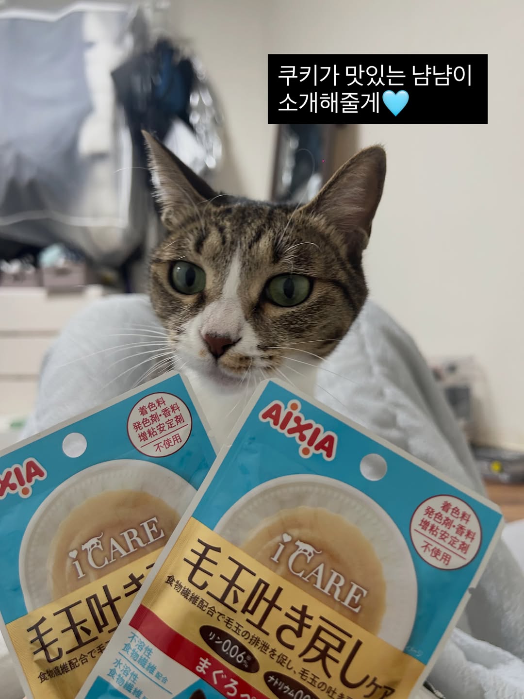 @c00kie_i_made이 올린 아이시아 코리아 태그 게시물