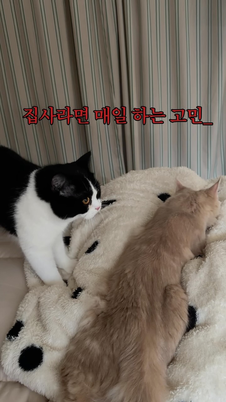 @albamba.zip이 올린 에어메이드 태그 게시물