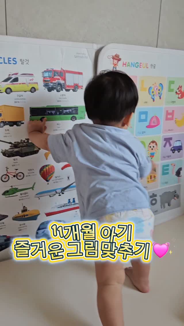 @ha_yoonwoo이 올린 Hattung® 하뚱 태그 게시물