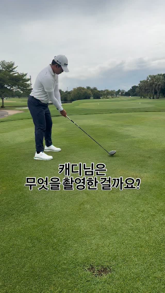 @dovely_golf이 올린 시다스 태그 게시물