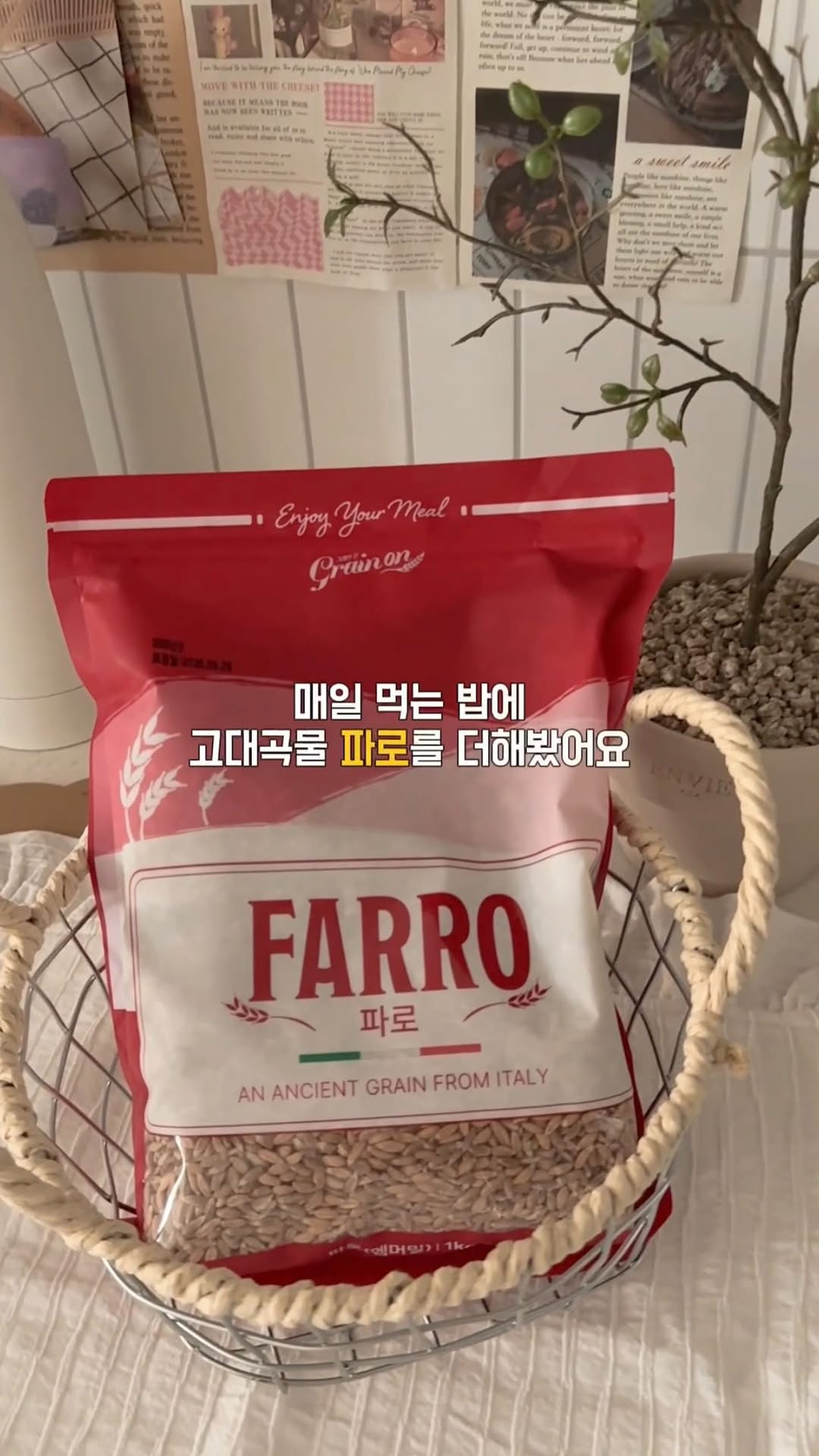 @nina___house이 올린 그레인온 태그 게시물
