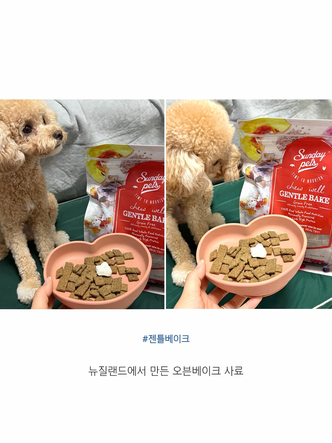 @o___back이 올린 히동이와야옹이네 | 강아지사료 · 애견사료 · 강아지간식 태그 게시물