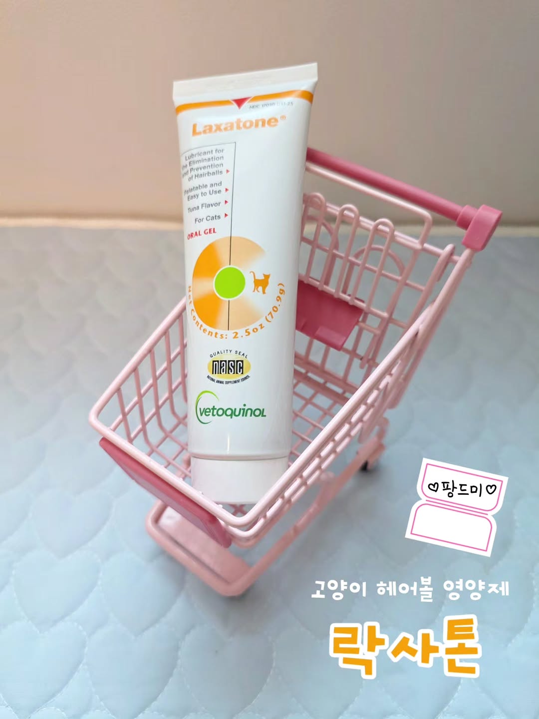 @jager_bami_luesey이 올린 팡드미 태그 게시물