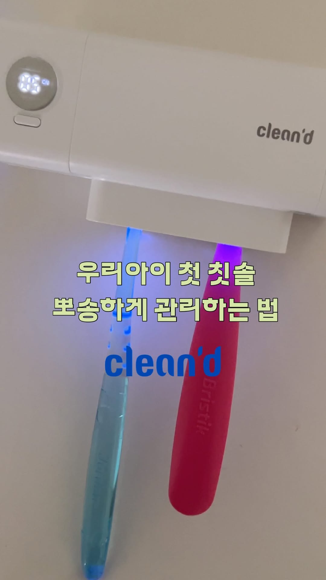 @mongdol.zip이 올린 clean’d, 클린디 태그 게시물
