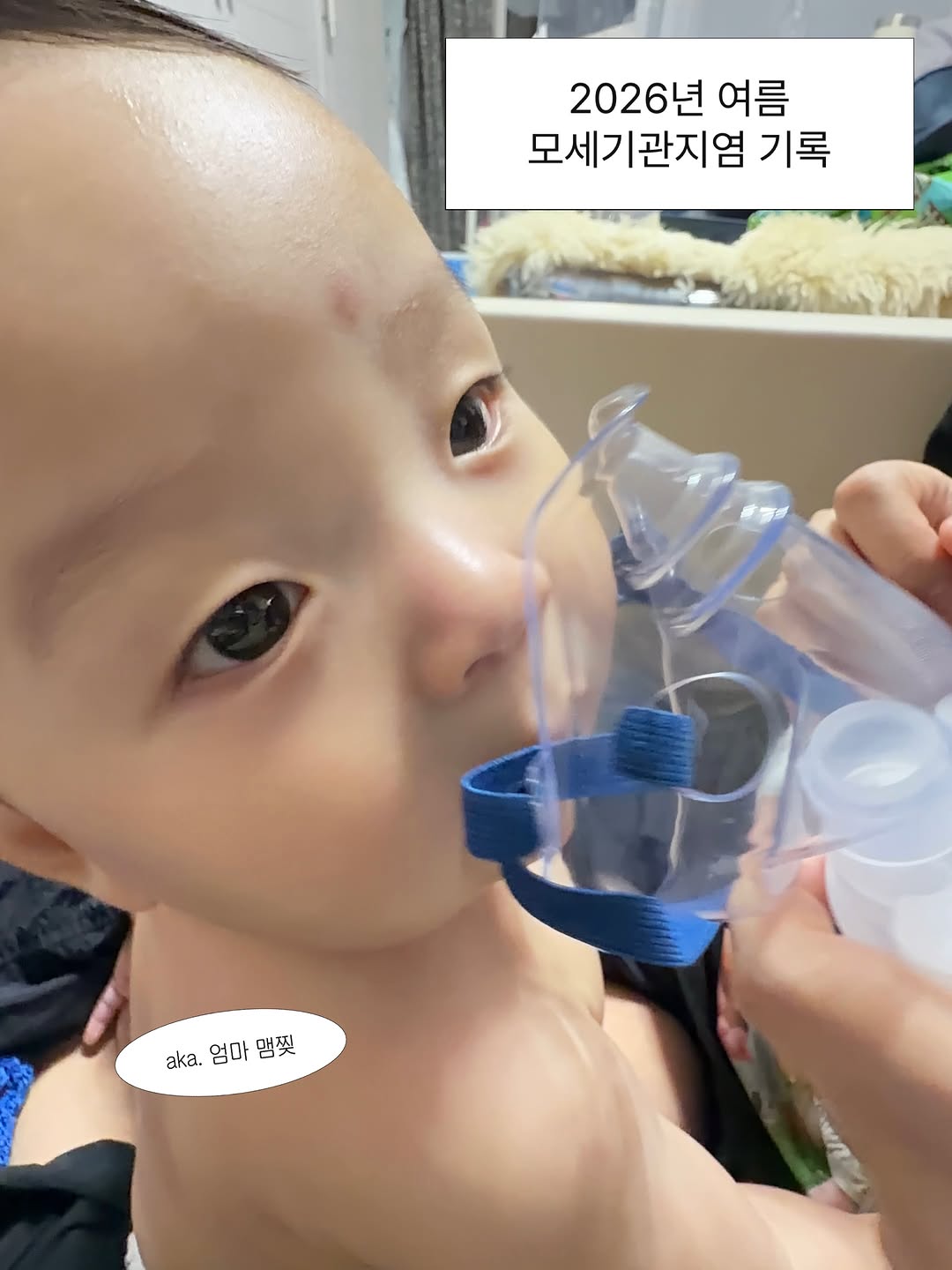@kinggodfamily이 올린 메르베르 태그 게시물