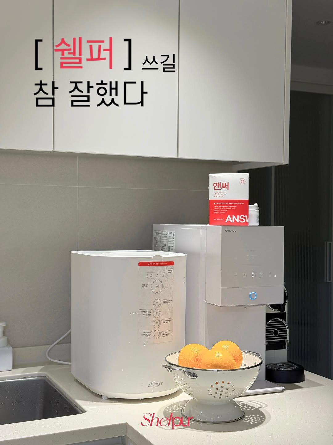 @chae.__.on이 올린 쉘퍼 태그 게시물