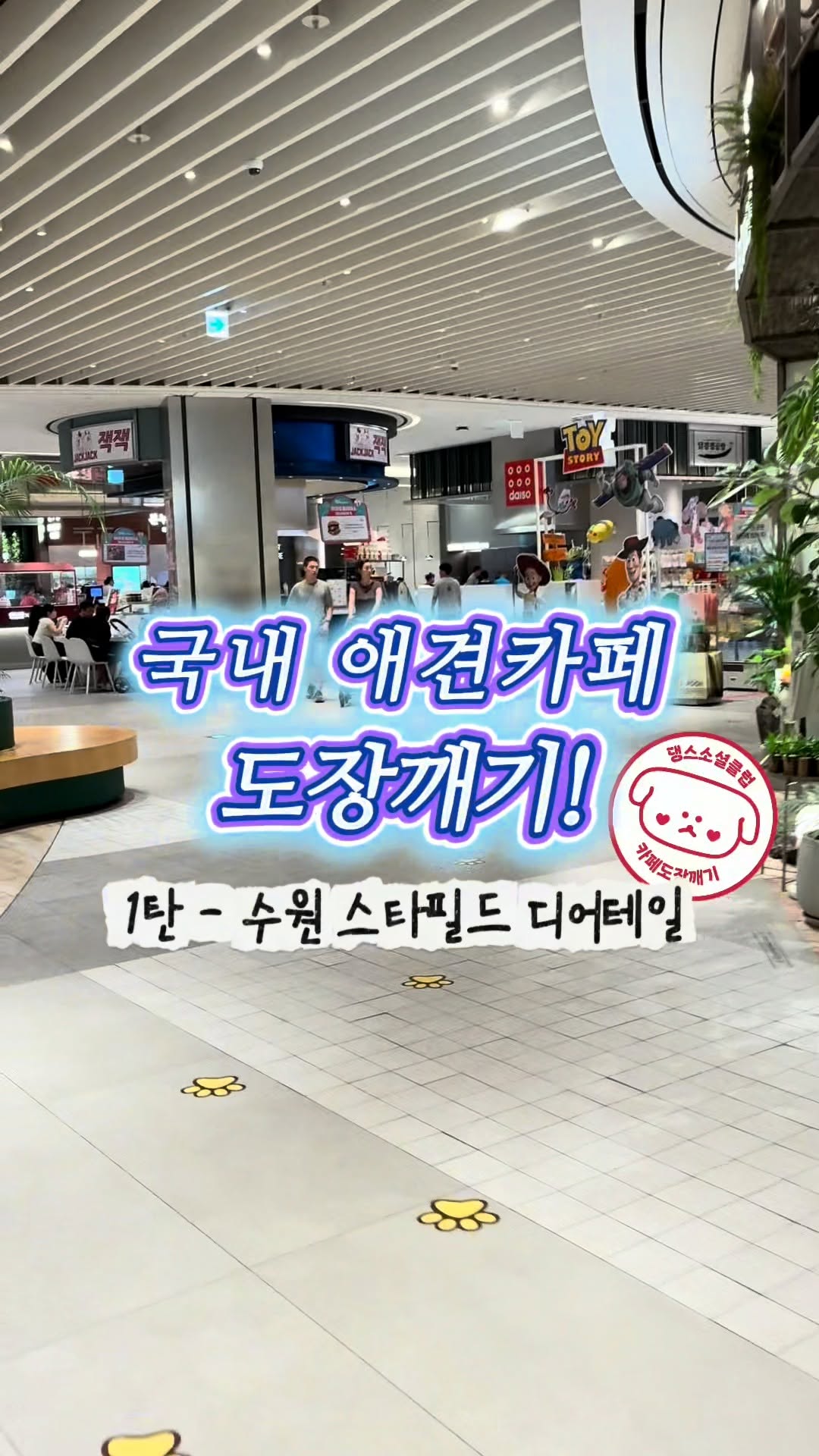 @thanks_socialclub이 올린 디어테일💕 태그 게시물