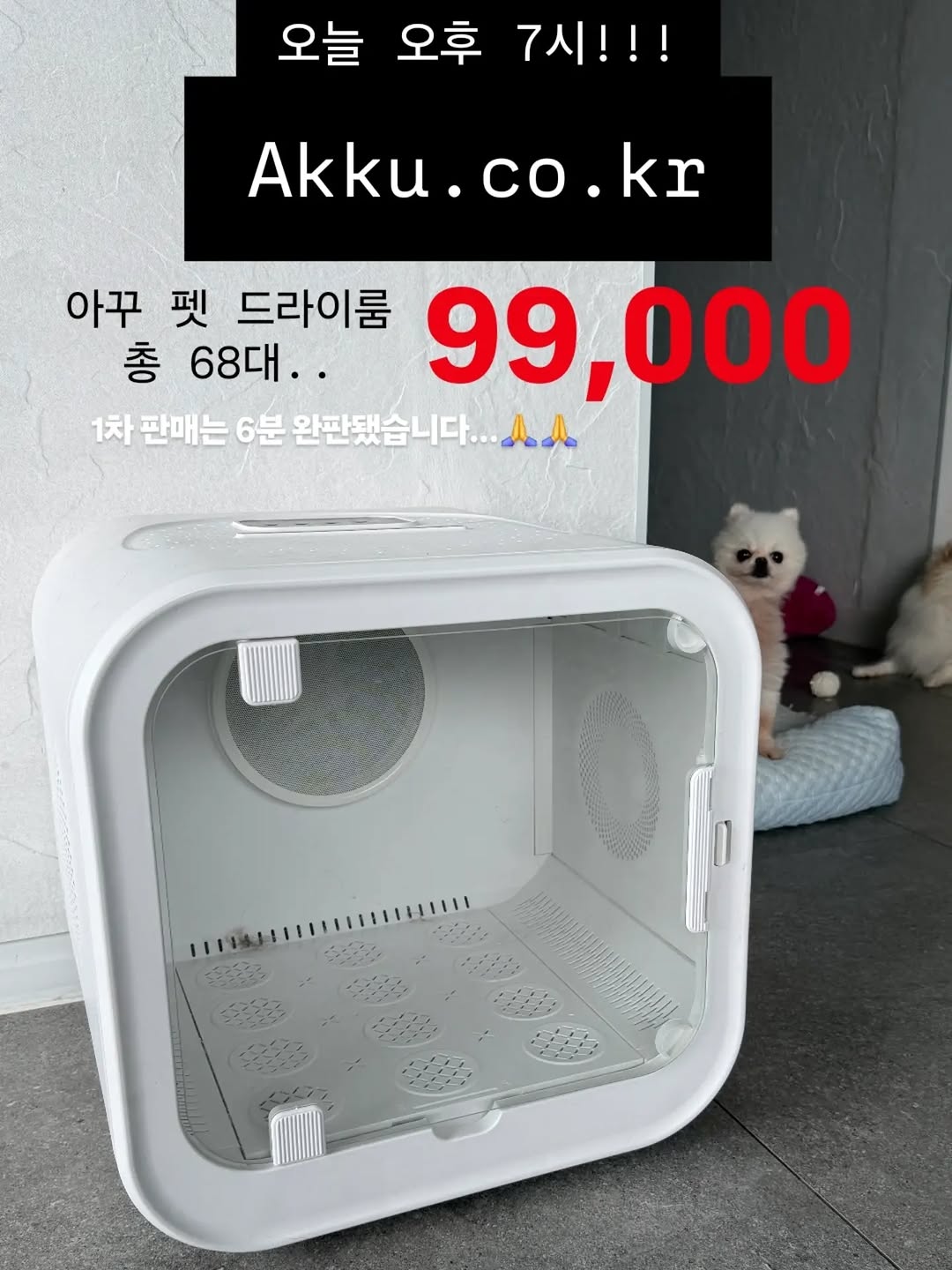 @akku.co.kr이 올린 아꾸 태그 게시물