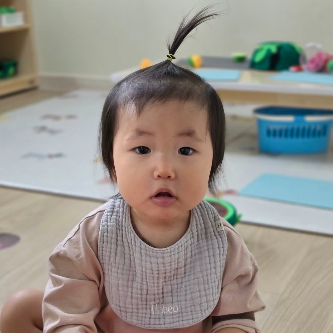 @chashu.zip이 올린 하베오하우스 태그 게시물