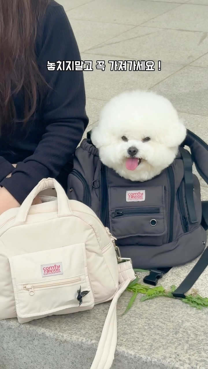 @bbugguisking이 올린 컴피라비올리 태그 게시물
