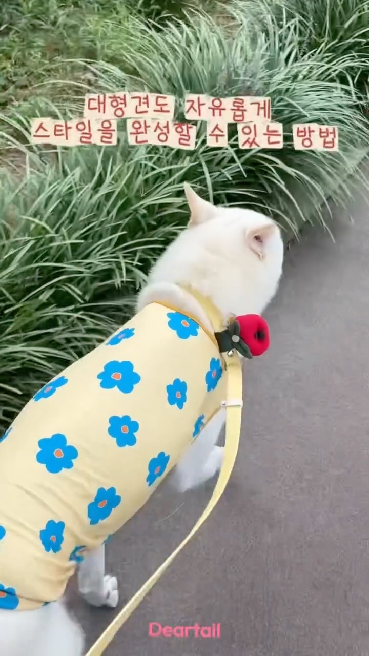 @100_00bird이 올린 디어테일💕 태그 게시물