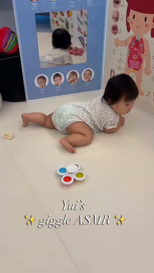 @_lucky_haus_이 올린 Hattung® 하뚱 태그 게시물