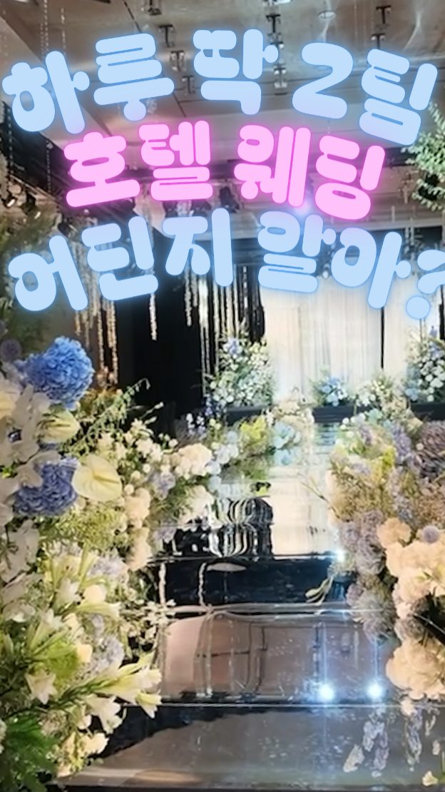 @wonye.log이 올린 풀만 서울 이스트폴 태그 게시물
