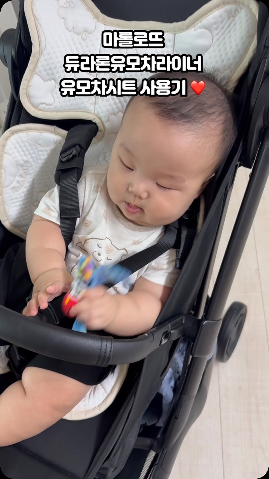 @rabbitbag이 올린 마롤로뜨 태그 게시물