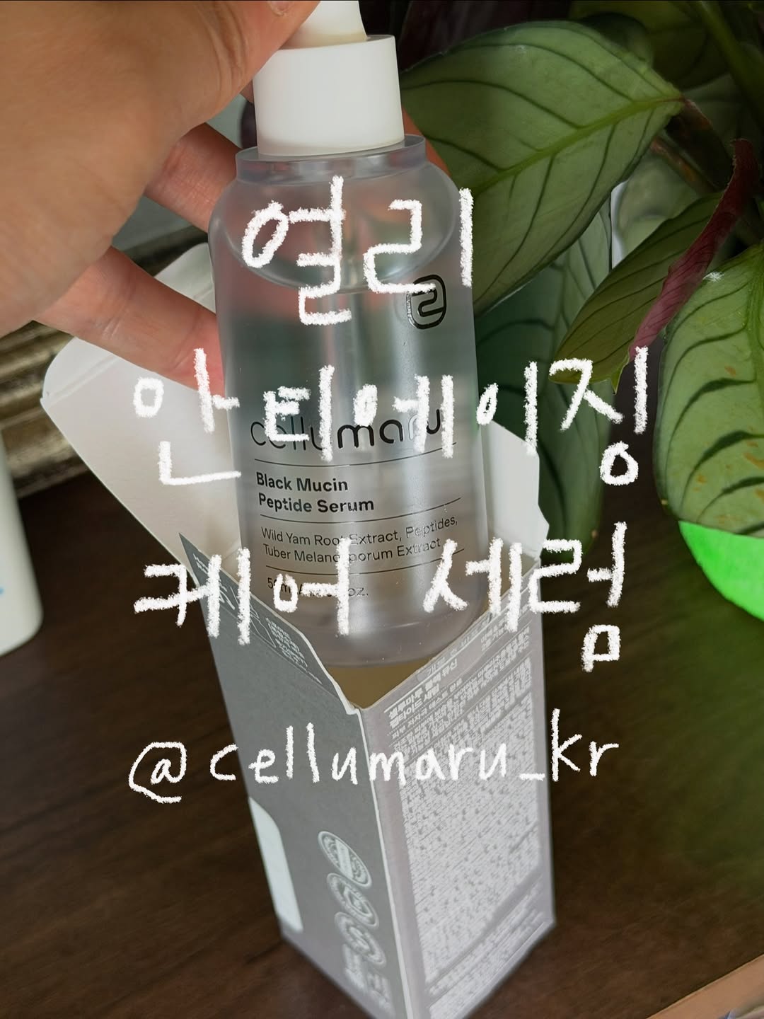 @jiwonjiwon__이 올린 셀루마루 kr 태그 게시물