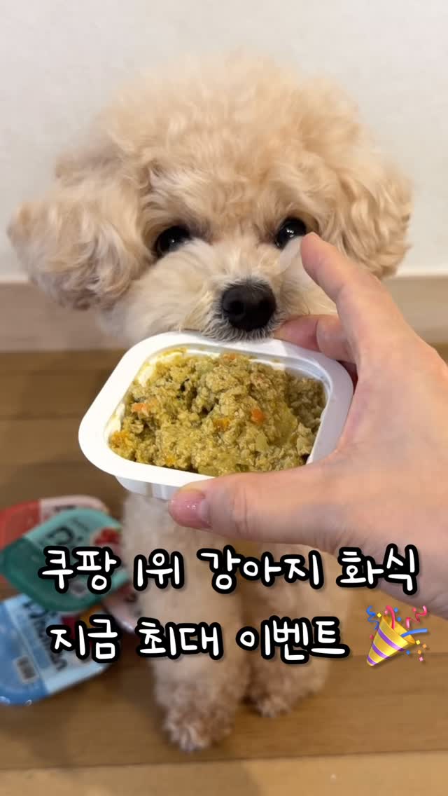 @ange_gram이 올린 D'human 듀먼 태그 게시물