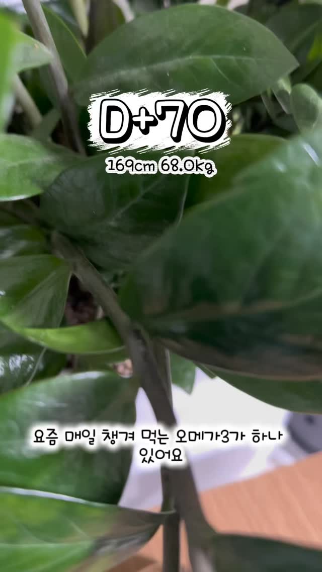 @mydaily.diet.diary이 올린 영롱 태그 게시물