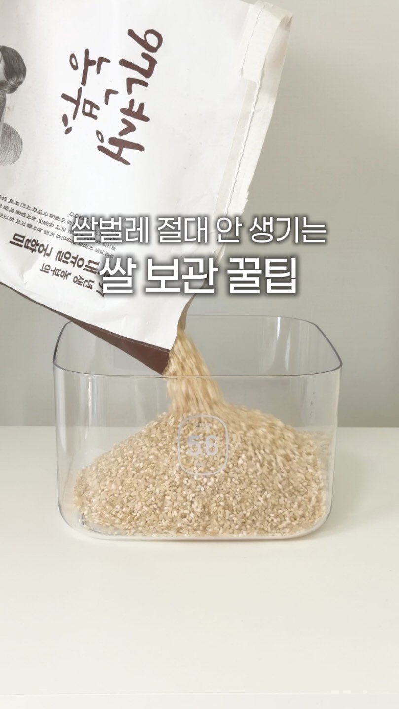 @ohjubulife이 올린 장현 97년생 농부 태그 게시물