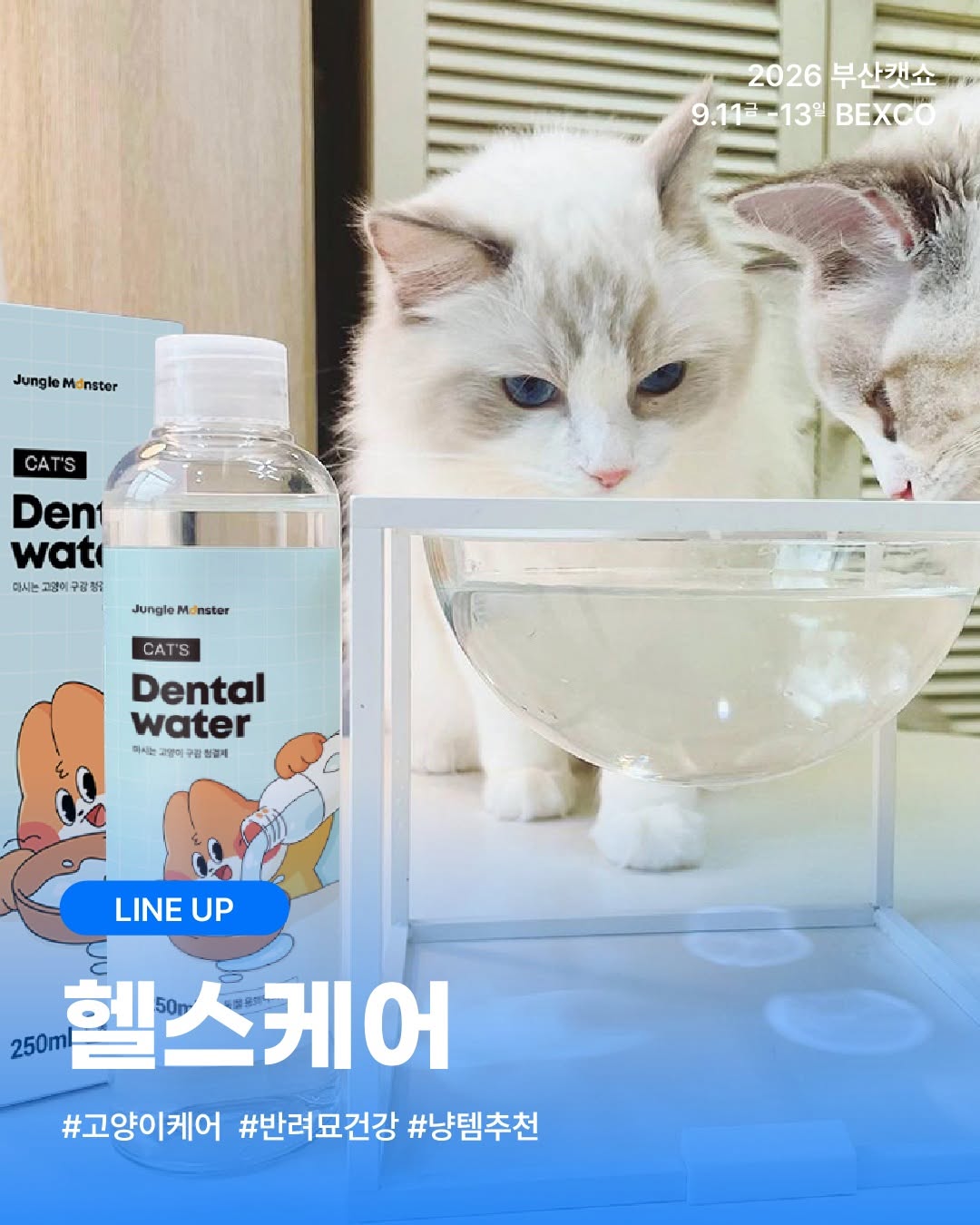 @busan_catshow이 올린 누터스가든 태그 게시물