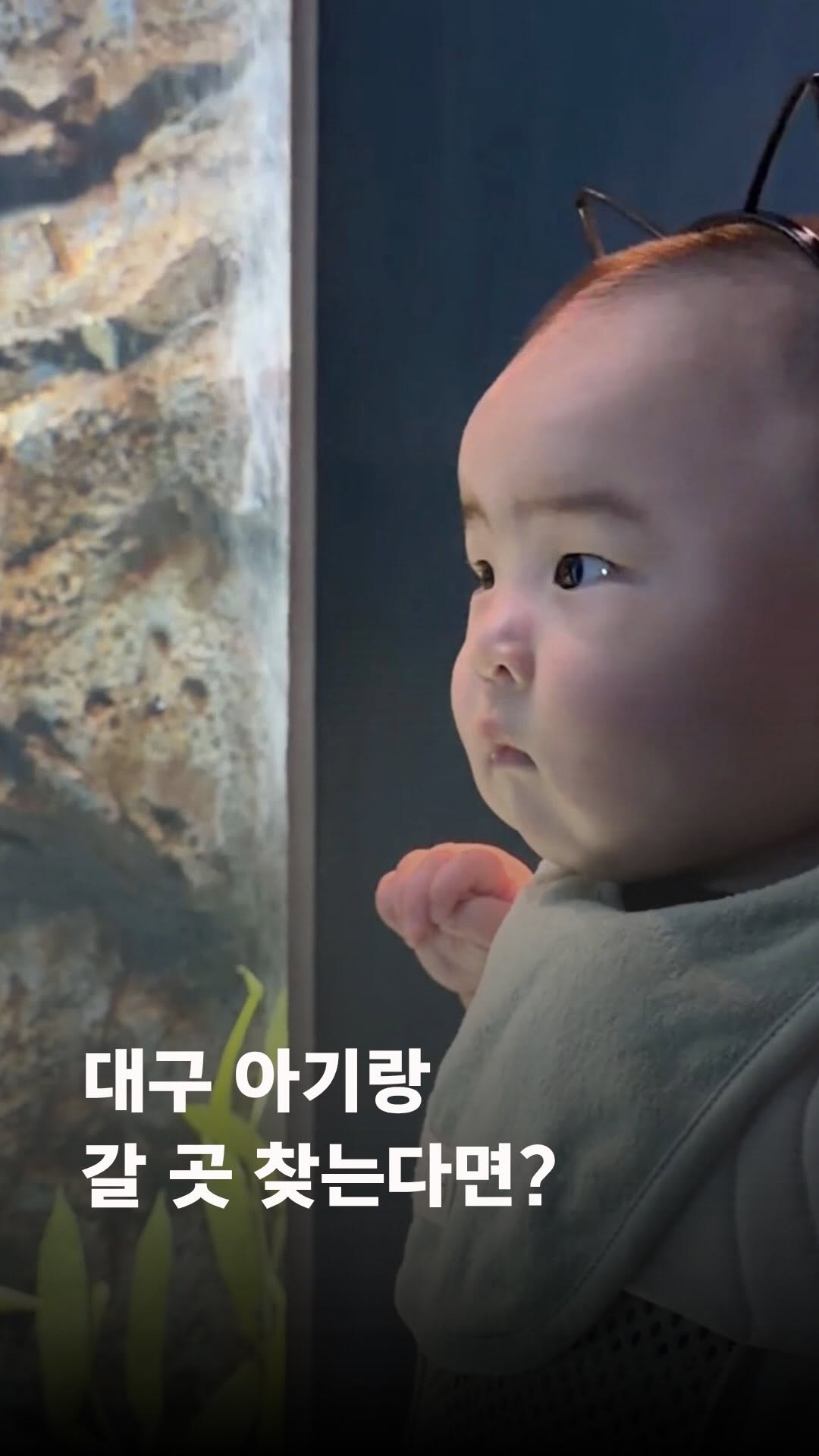 @doyoon_zzang이 올린 대구맘카페 태그 게시물