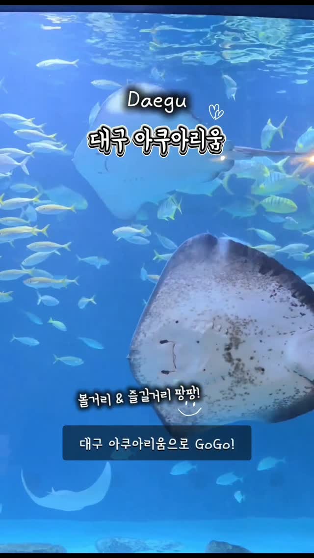 @yooou.c이 올린 대구맘카페 태그 게시물
