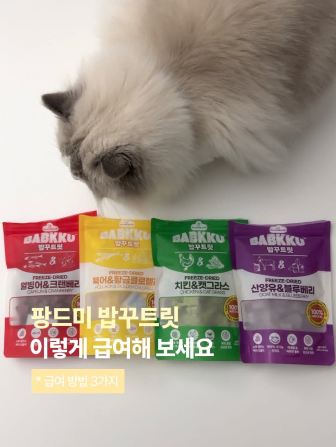 @sirogram__이 올린 팡드미 태그 게시물