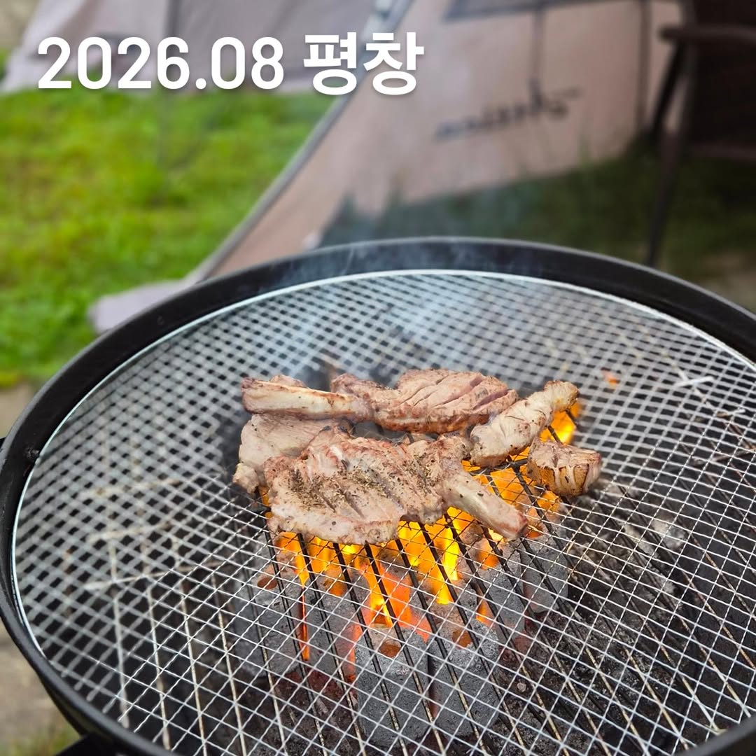 @baby.bomul이 올린 휘닉스 태그 게시물