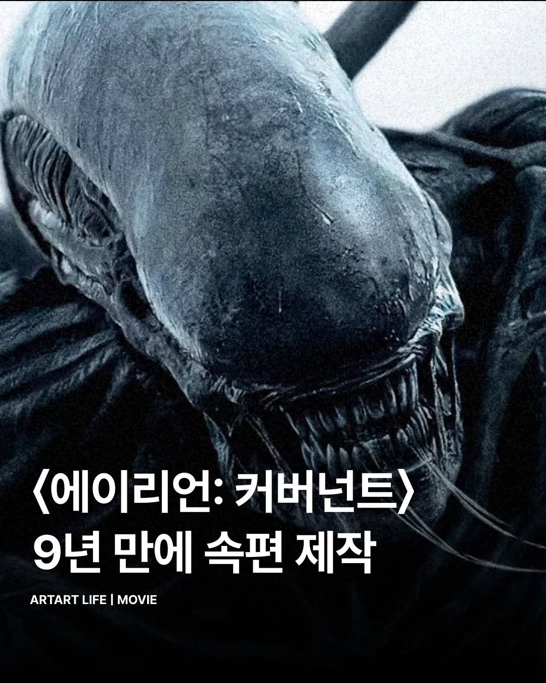 @artart.life이 올린 이십세기 스튜디오 코리아 태그 게시물