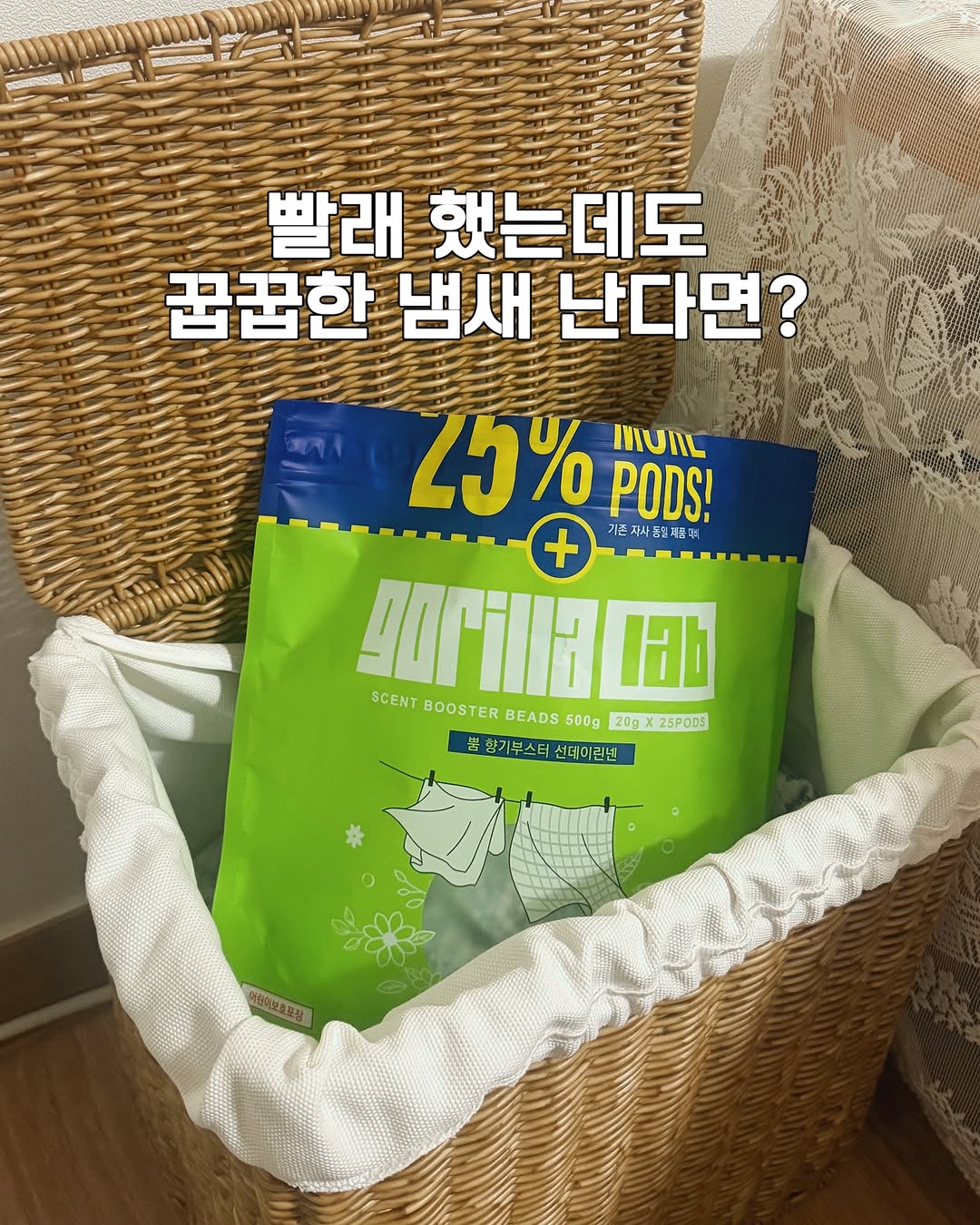 @chagok.sallim이 올린 고릴라랩 태그 게시물