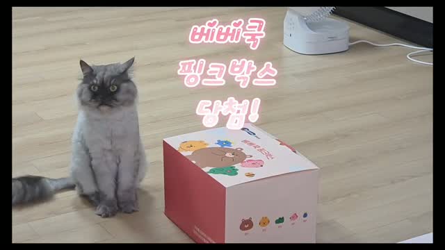 @gardenhee.9_6이 올린 베베쿡 태그 게시물