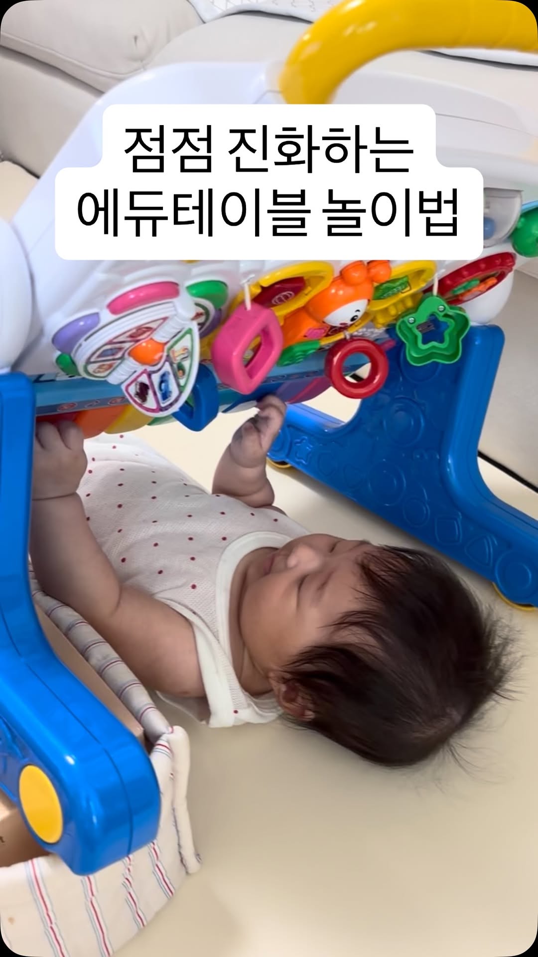 @yiyul0329이 올린 코니스 CONYS 태그 게시물