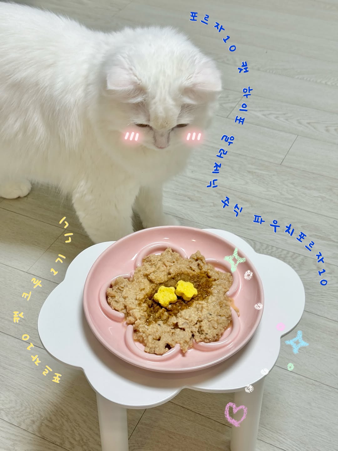 @nini.__.meow이 올린 팡드미 태그 게시물