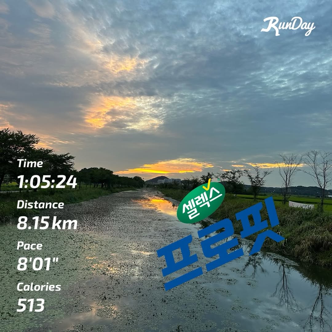 @bluesky7404이 올린 셀렉스 태그 게시물