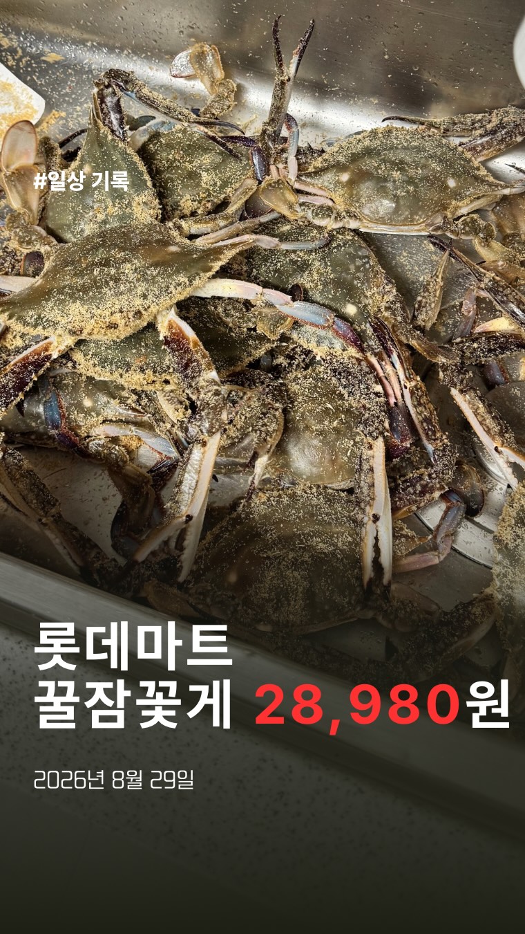 @toma._.bb이 올린 롯데마트 태그 게시물