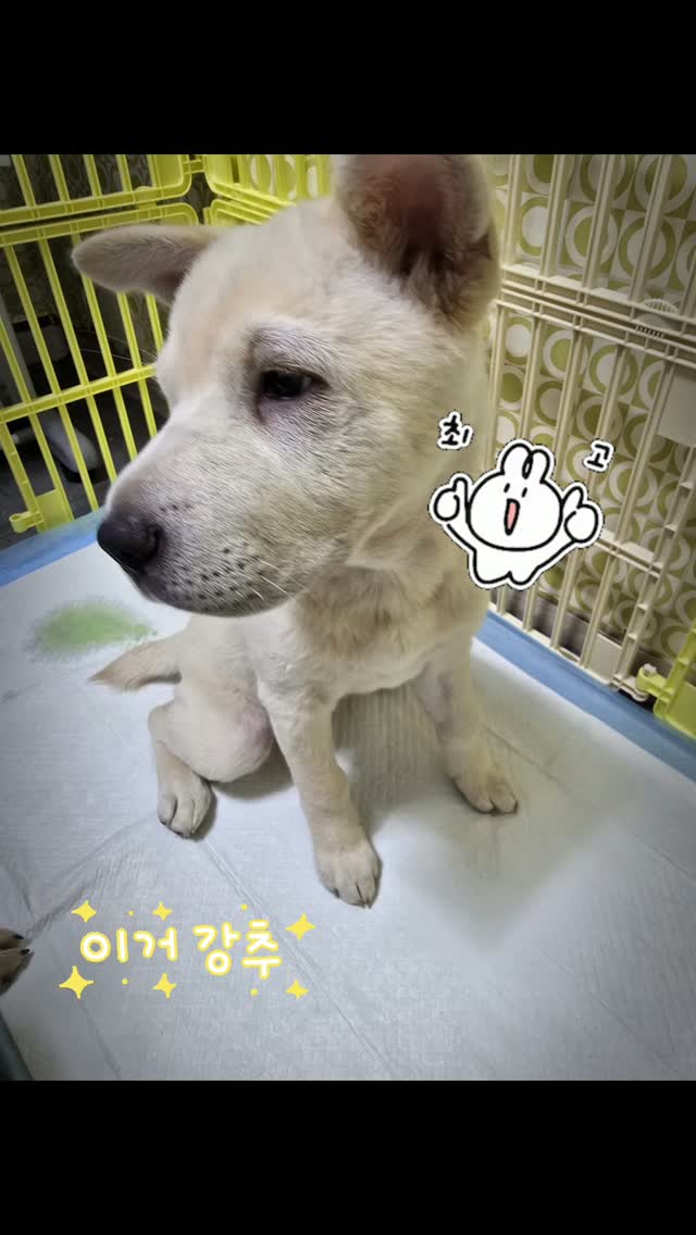 @0601x0625이 올린 아꾸 태그 게시물