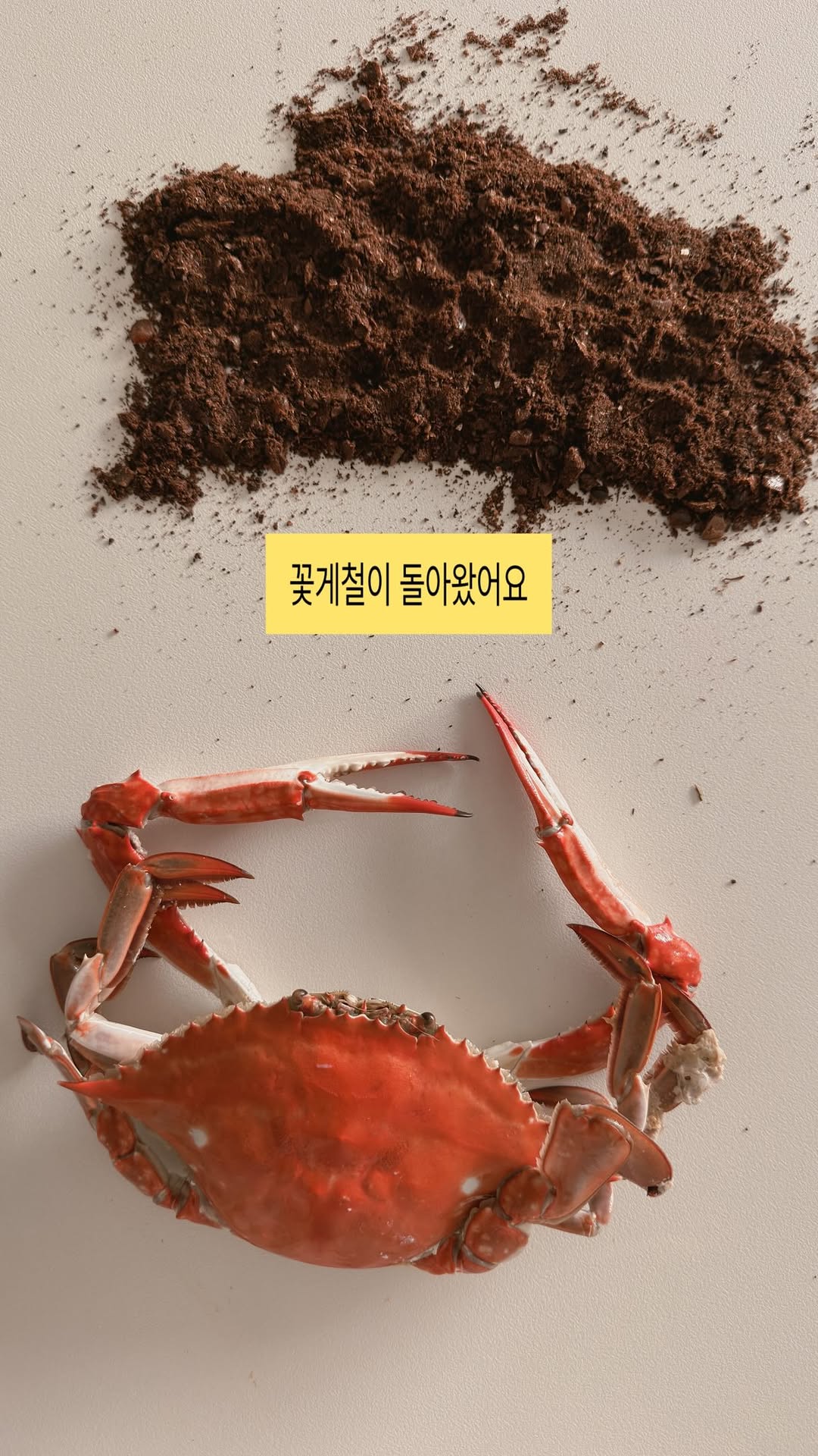 @nuri.home이 올린 쉘퍼 태그 게시물