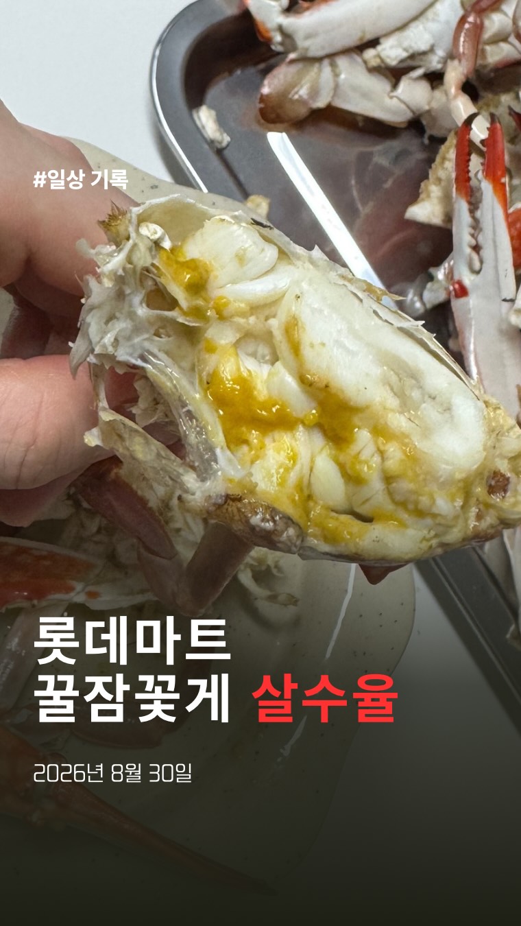 @toma._.bb이 올린 롯데마트 태그 게시물