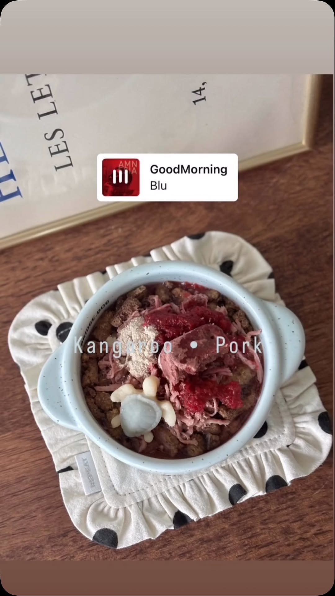 @hoochoo_nuna이 올린 리핏 태그 게시물