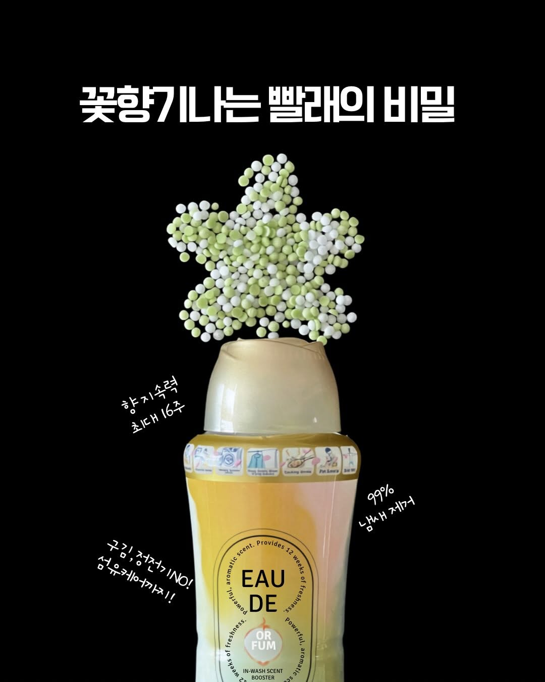 @casa_seombatro이 올린 아로퓸 태그 게시물