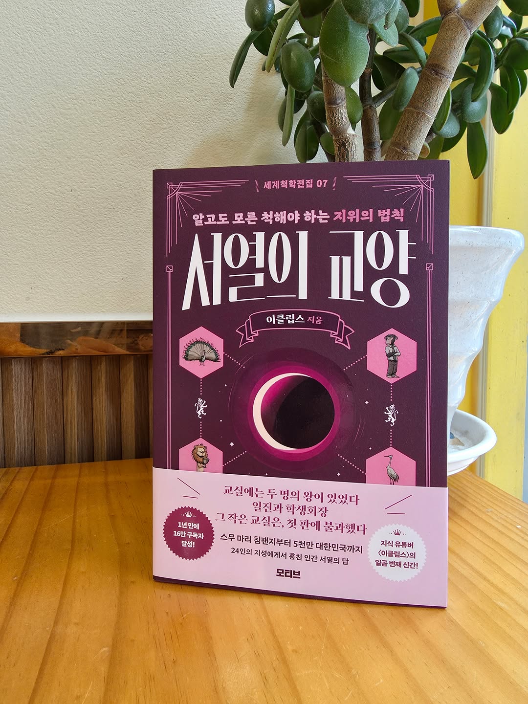 @maroo5879이 올린 모티브 인사이트 태그 게시물