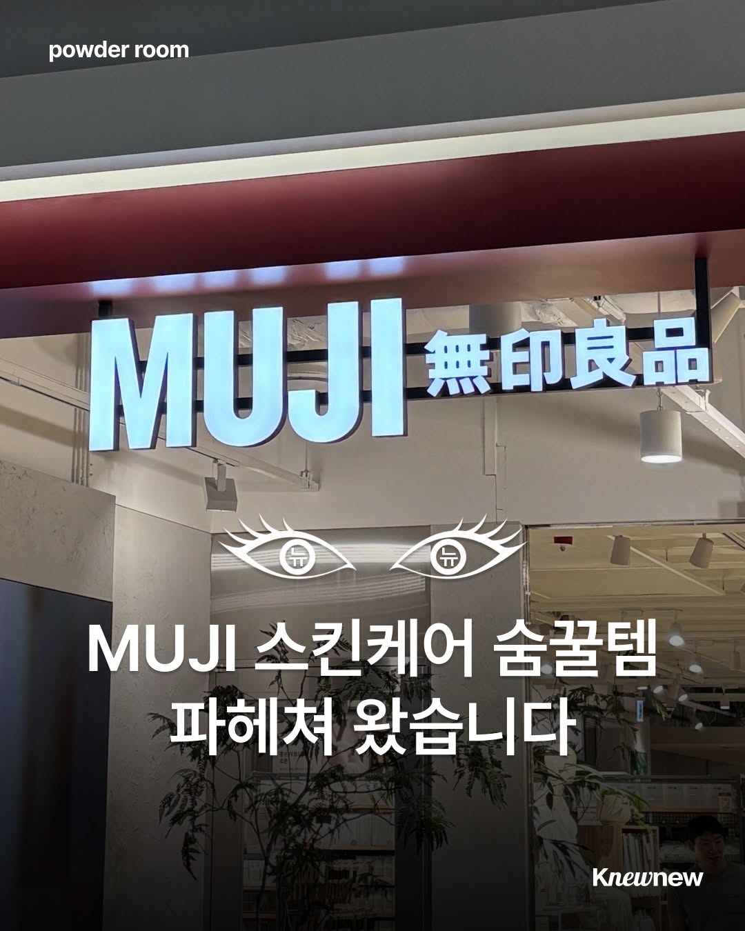 @knewnew.life이 올린 뉴뉴트렌드 태그 게시물