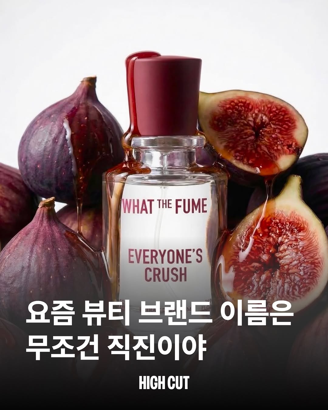 @highcutmag이 올린 유쏘풀 태그 게시물